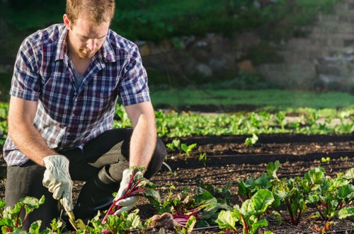 Training session for gardeners on tool safety