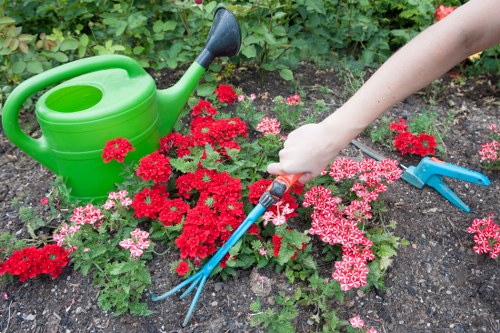 Company representative reviewing a garden complaint form