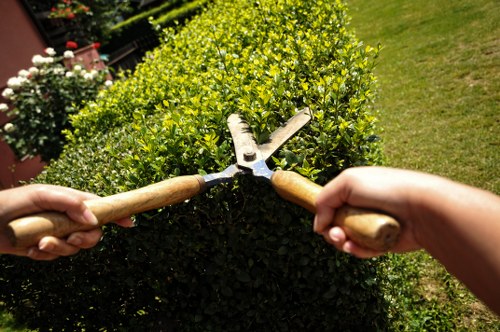 Professional landscaping services by Gardeners Anerley enhancing outdoor spaces