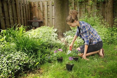 Gardeners Anerley team discussing garden layout with a client in Anerley